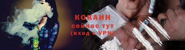 гашик Новозыбков