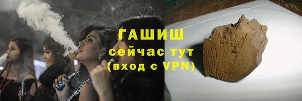 гашик Новозыбков