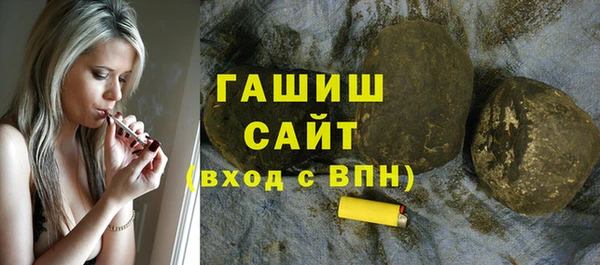 гашик Новозыбков