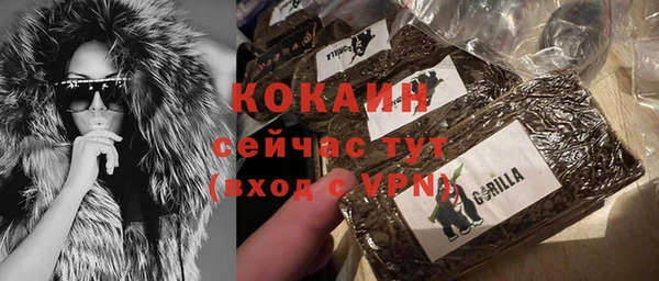 твердый Дегтярск