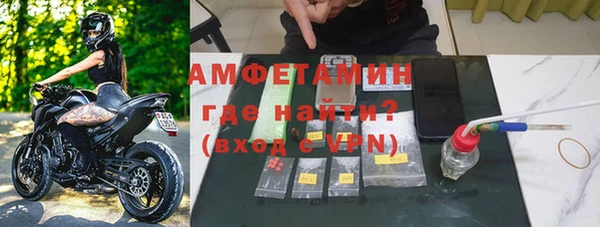 гашик Новозыбков
