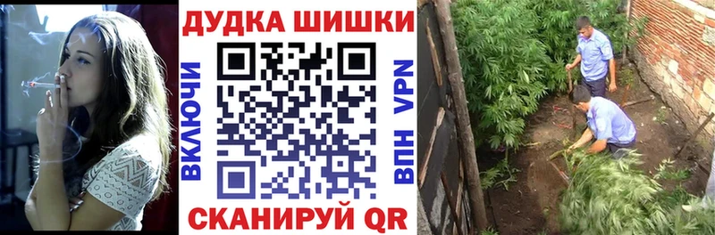 купить наркоту  Переславль-Залесский  Бошки Шишки марихуана 